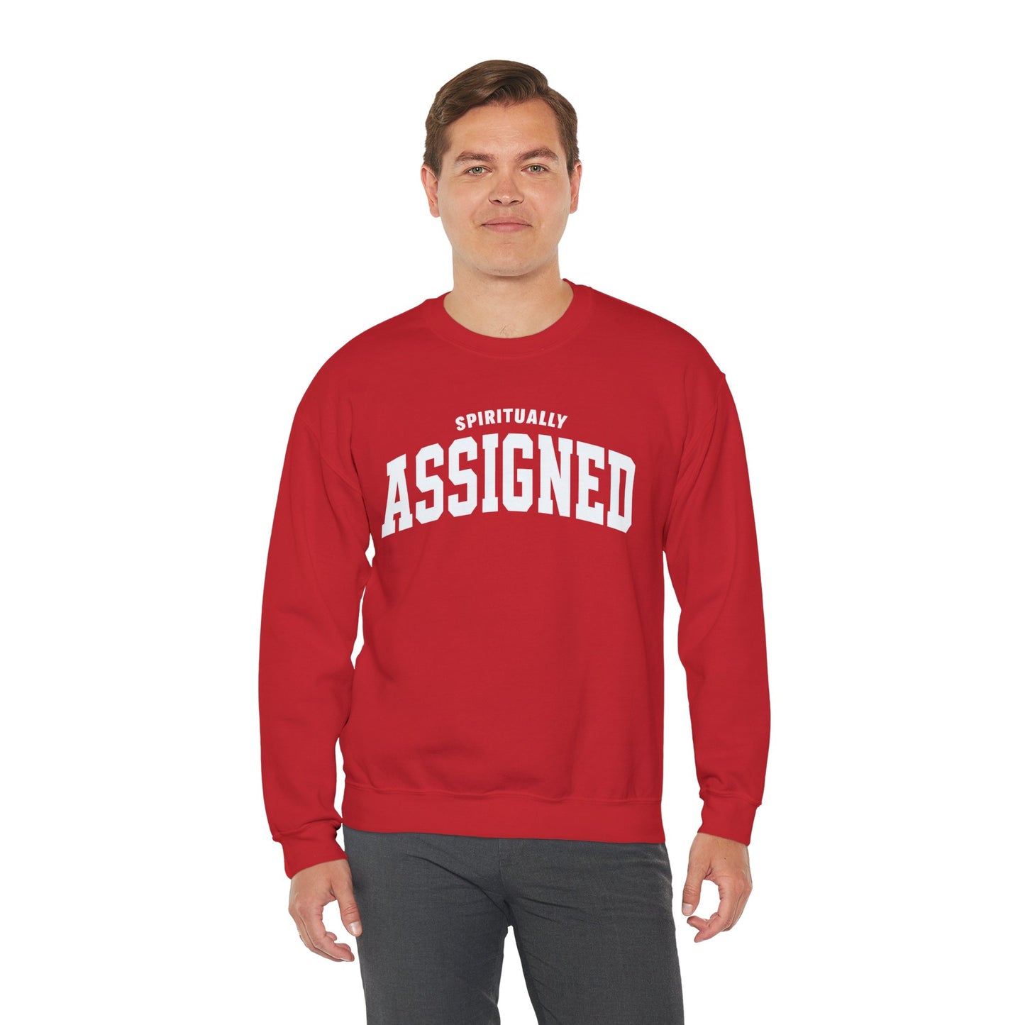 Spiritually Assigned Sweatshirt, Cozy Crewneck, Unisex Gift, Fall Fashion, Inspirational Wear, Perfect for Relaxing, Casual Style