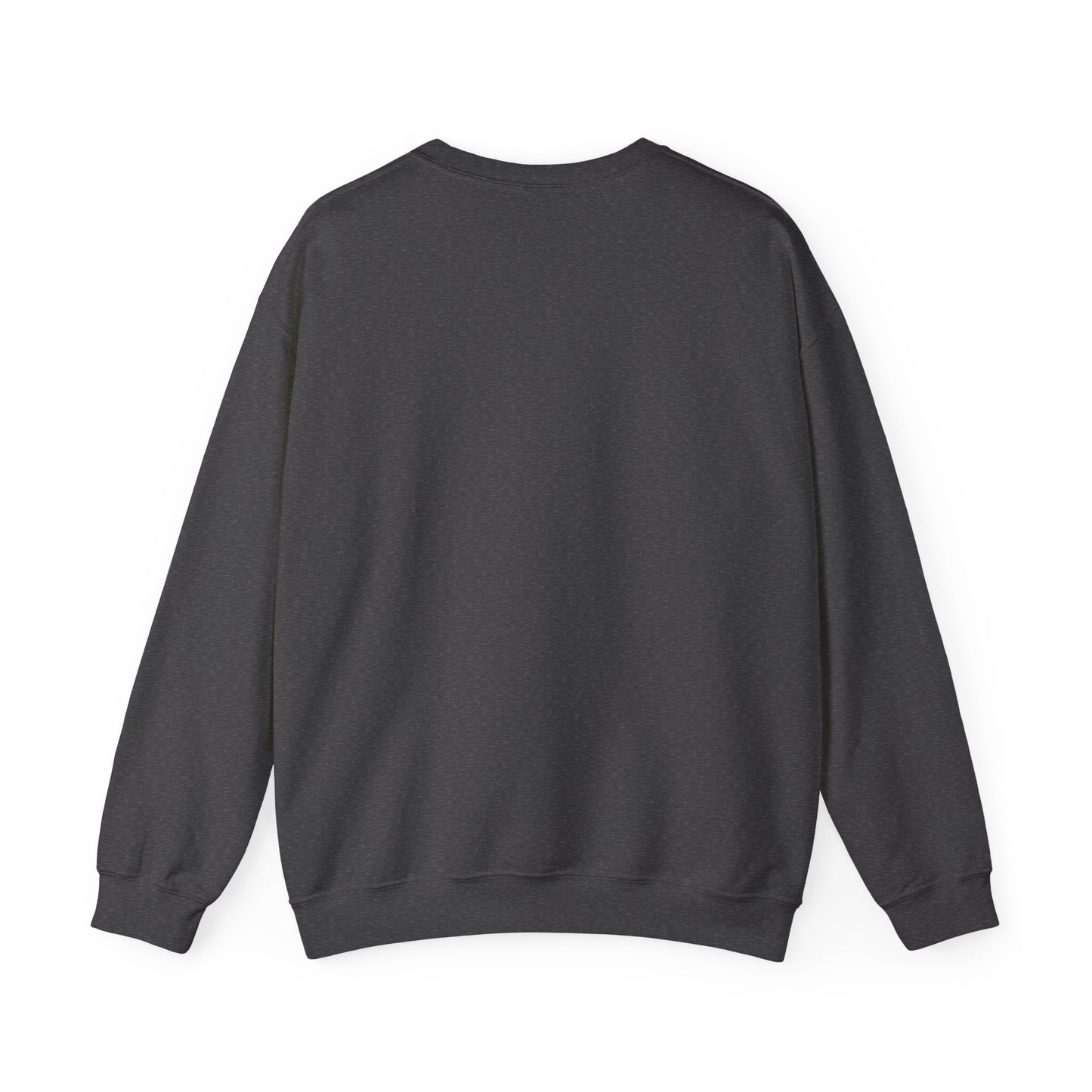 Cat Lion Mirror Crewneck Sweatshirt, Perfect for Cat Lovers, Gift for Birthdays, Stay-at-Home Comfort, Ideal for Casual Wear, Pet Enthusiast