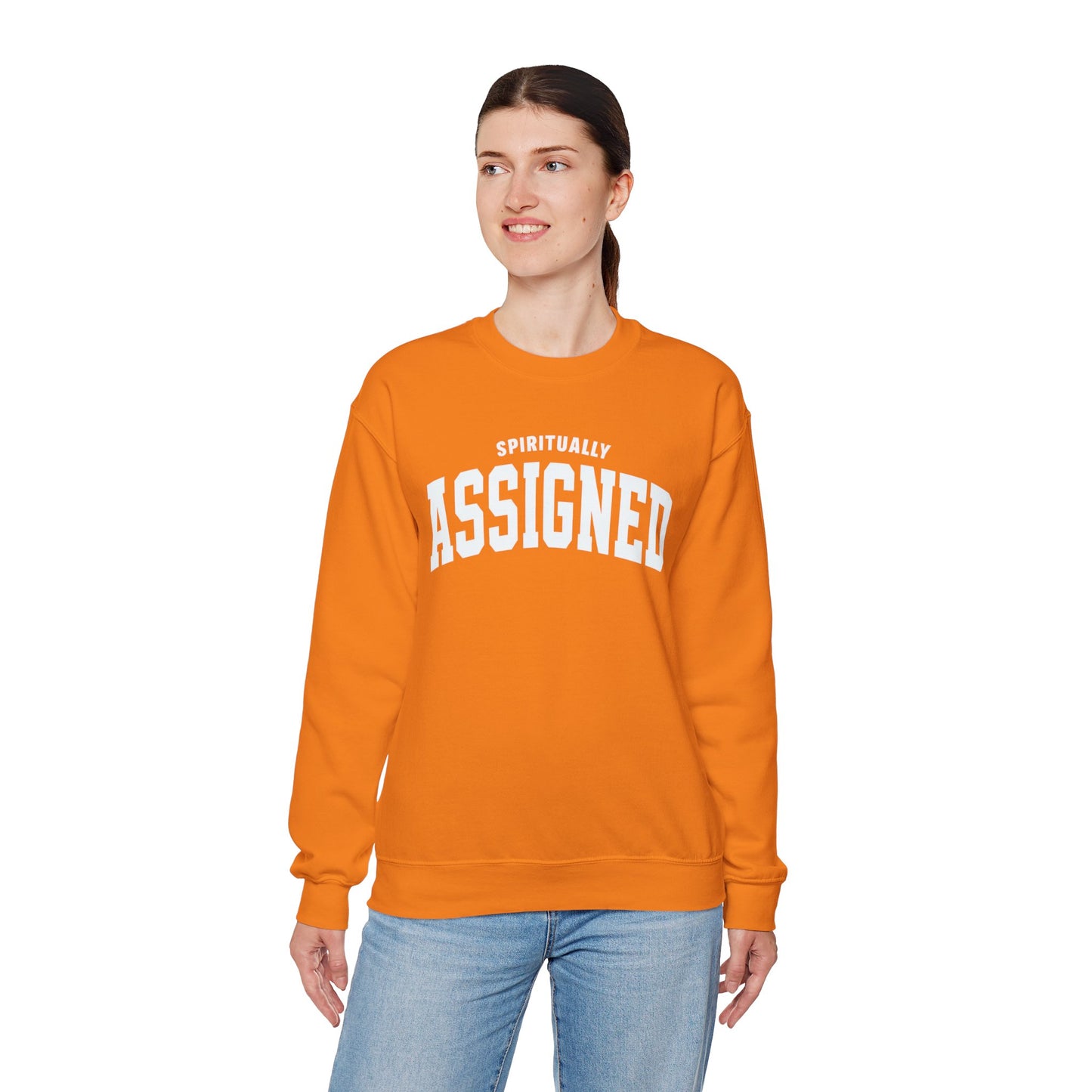 Spiritually Assigned Sweatshirt, Cozy Crewneck, Unisex Gift, Fall Fashion, Inspirational Wear, Perfect for Relaxing, Casual Style