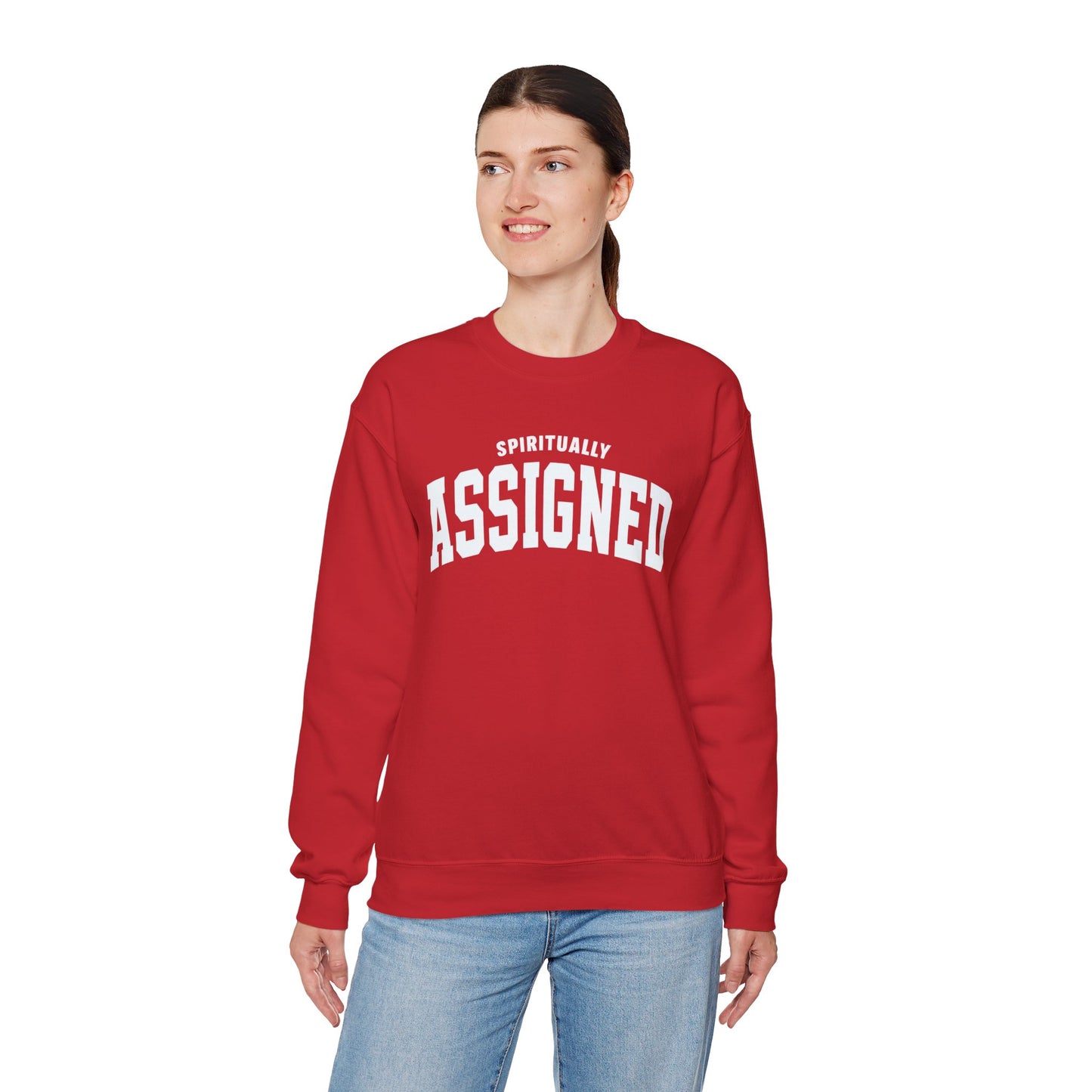 Spiritually Assigned Sweatshirt, Cozy Crewneck, Unisex Gift, Fall Fashion, Inspirational Wear, Perfect for Relaxing, Casual Style