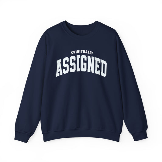 Spiritually Assigned Sweatshirt, Cozy Crewneck, Unisex Gift, Fall Fashion, Inspirational Wear, Perfect for Relaxing, Casual Style