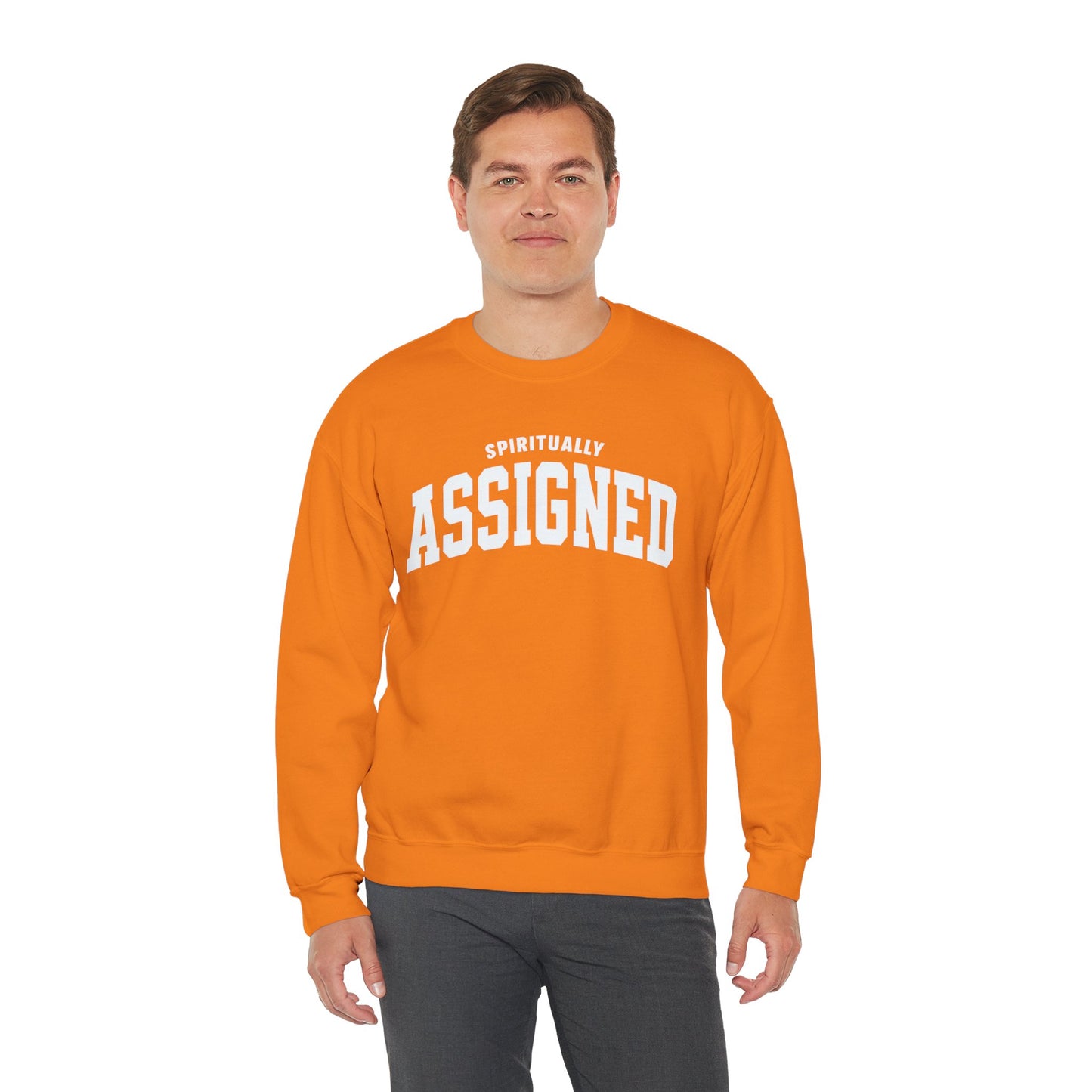 Spiritually Assigned Sweatshirt, Cozy Crewneck, Unisex Gift, Fall Fashion, Inspirational Wear, Perfect for Relaxing, Casual Style