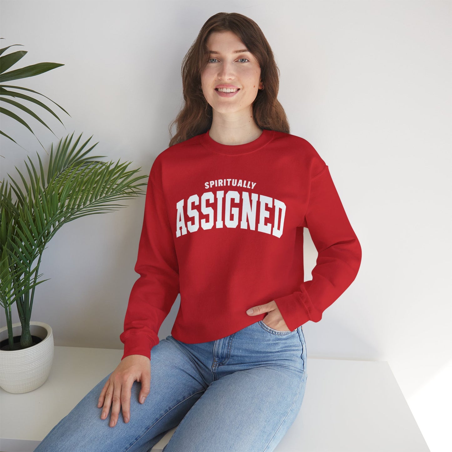Spiritually Assigned Sweatshirt, Cozy Crewneck, Unisex Gift, Fall Fashion, Inspirational Wear, Perfect for Relaxing, Casual Style