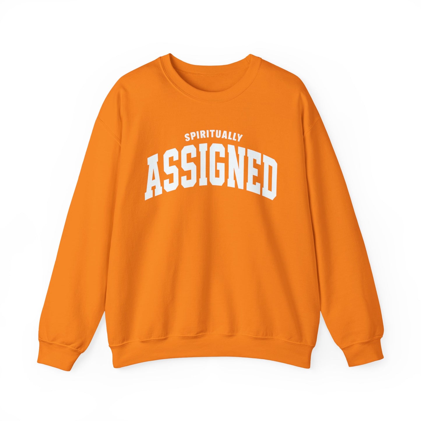 Spiritually Assigned Sweatshirt, Cozy Crewneck, Unisex Gift, Fall Fashion, Inspirational Wear, Perfect for Relaxing, Casual Style
