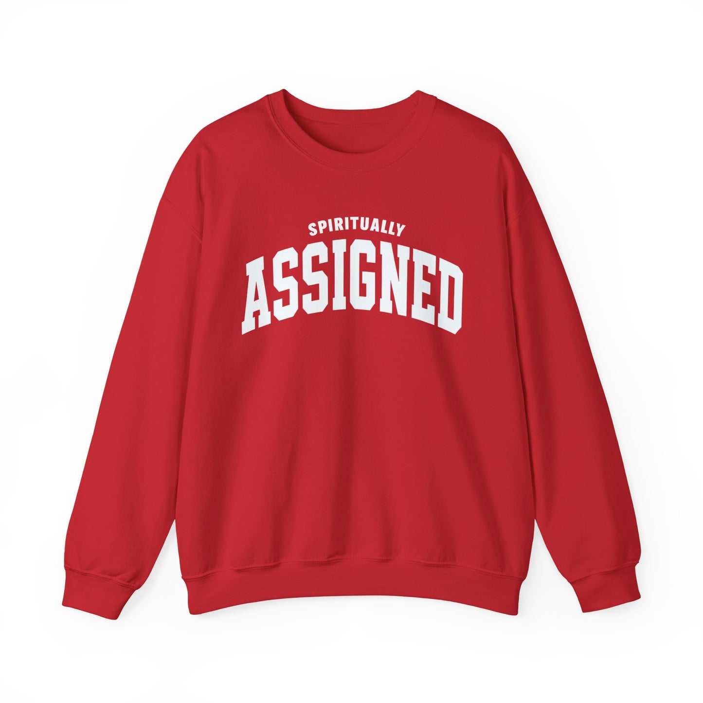 Spiritually Assigned Sweatshirt, Cozy Crewneck, Unisex Gift, Fall Fashion, Inspirational Wear, Perfect for Relaxing, Casual Style