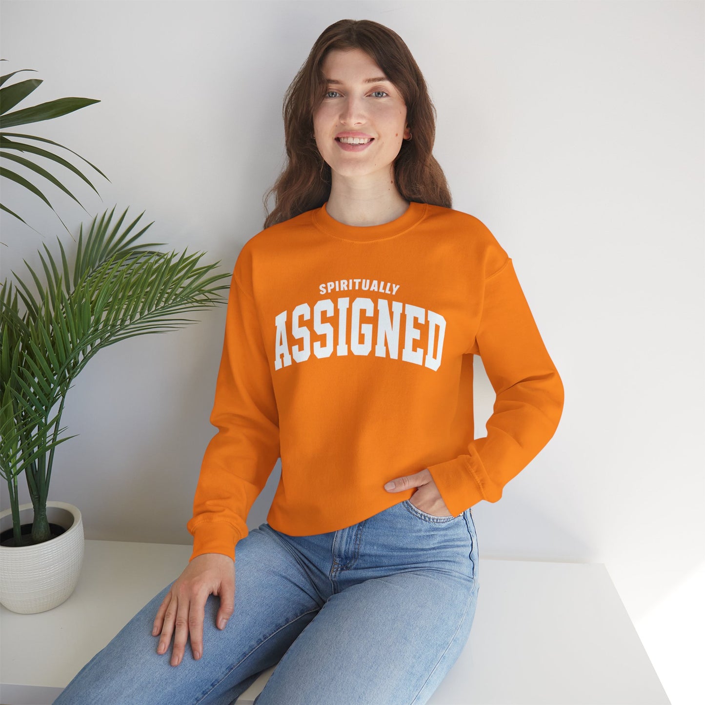 Spiritually Assigned Sweatshirt, Cozy Crewneck, Unisex Gift, Fall Fashion, Inspirational Wear, Perfect for Relaxing, Casual Style